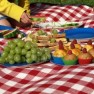 14659394-los-ninos-de-picnic-bocadillos-y-frutas-saludables